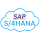 Image for the SAP S/4HANA